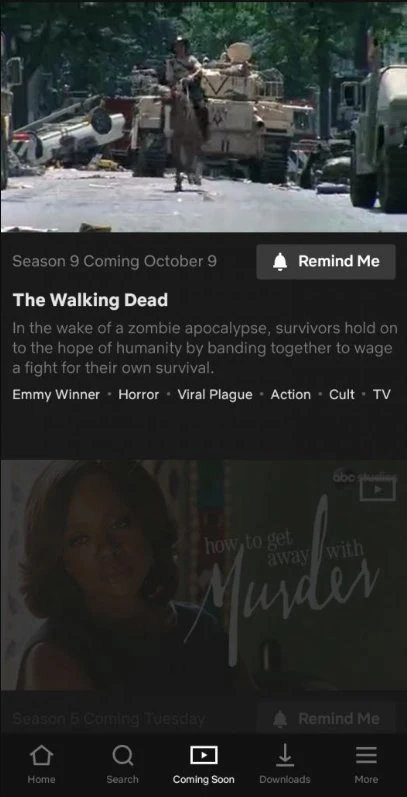 Netflix screenshot